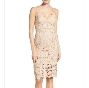 BARDOT I US 8 Botanica Lace Cut Out Midi Dress I pale pink beige